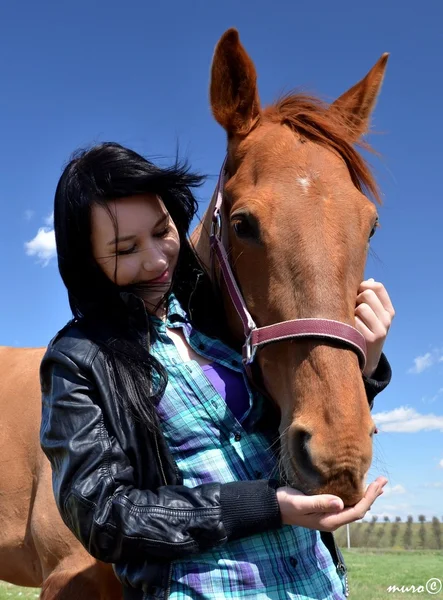 Joven mujer cuidando de su caballo — Foto de Stock