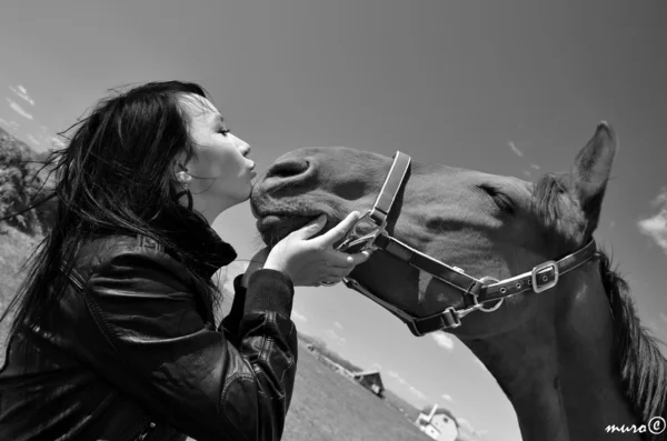 Genç bir kadın atına bakıyor. — Stok fotoğraf