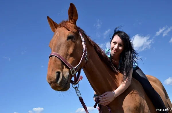Ragazza felice abbracciando cavallo marrone — Foto Stock