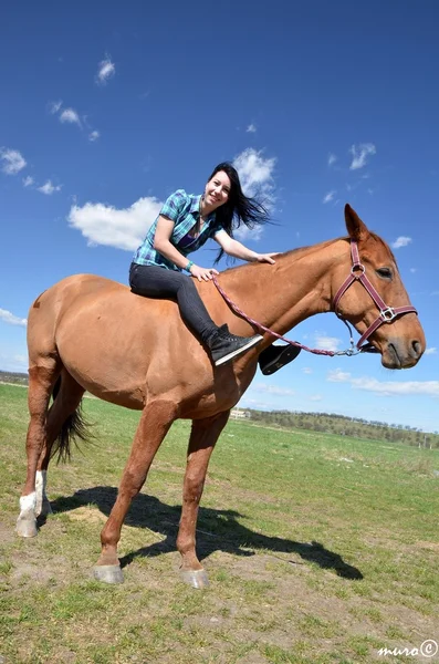 Joven mujer cuidando de su caballo — Foto de Stock