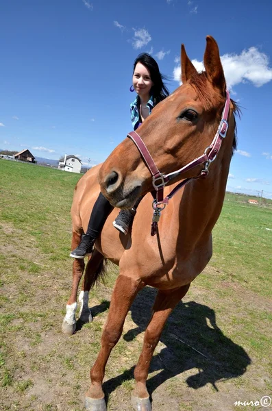 Ung kvinna tar hand om sin häst — Stockfoto