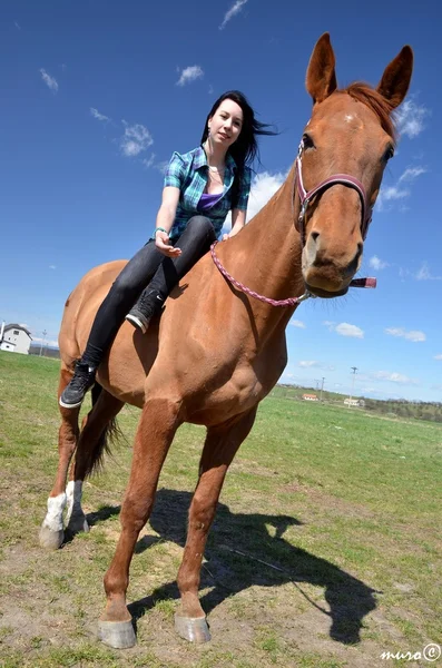 Joven mujer cuidando de su caballo —  Fotos de Stock