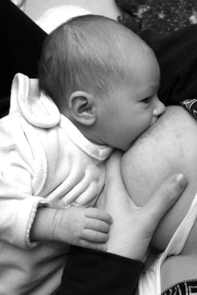 新生児を食べる — ストック写真