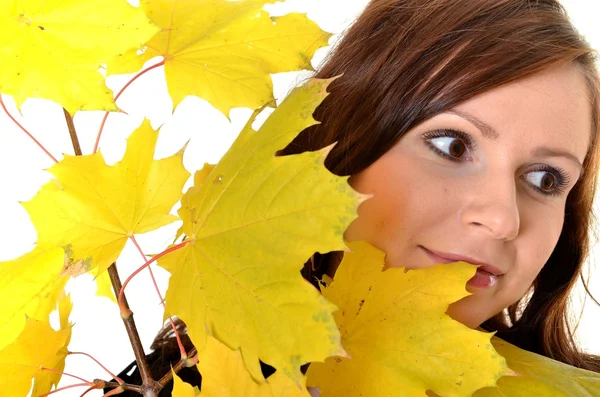 Őszi levelekkel rendelkező fiatal nő — Stock Fotó