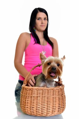 güzel genç kız ile sevimli yorkshire terrier köpek, WHI izole