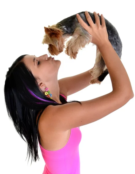 Köpek yavrusu öpüşme — Stok fotoğraf