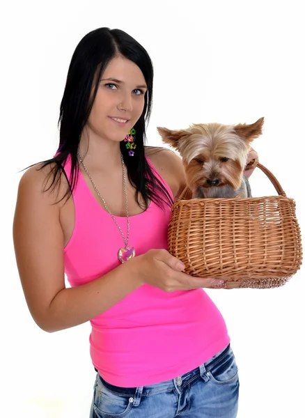 Chica con yorkshire terrier — Foto de Stock
