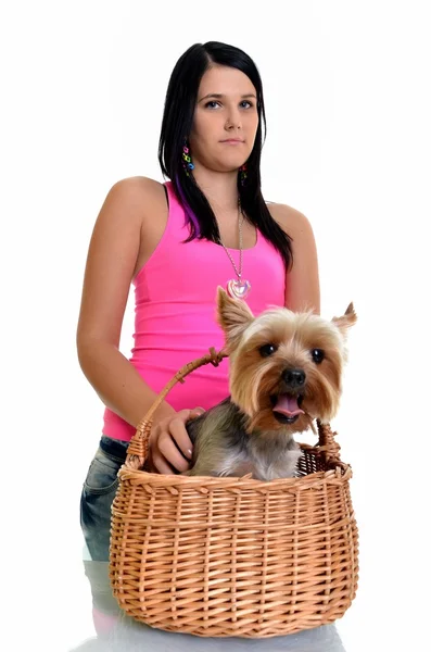 Schönes junges Mädchen mit süßem yorkshire Terrier Hund, isoliert auf whi — Stockfoto