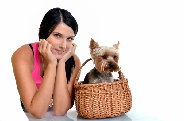 Beautiful young girl with cute yorkshire terrier dog, isolated on whi — Stock Photo, Image