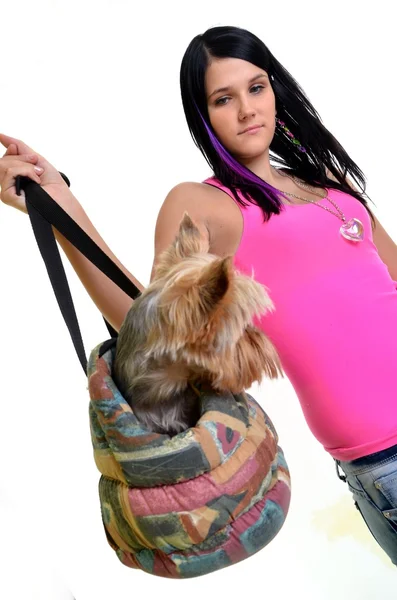 Jovem mulher com um pequeno cão — Fotografia de Stock