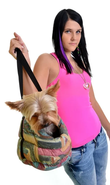 Hermosa chica joven con lindo yorkshire terrier perro, aislado en whi —  Fotos de Stock