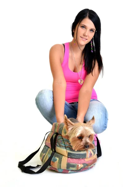 Vacker ung flicka med söta yorkshire terrier hund, isolerad på whi — Stockfoto