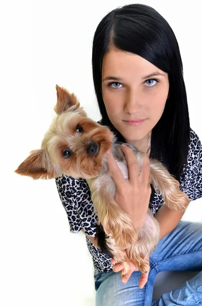 Genç kadın ve tatlı köpek oynamak — Stok fotoğraf