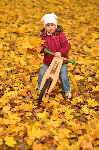 Pequeño bebé en una bicicleta de montar en el parque de otoño — Foto de Stock