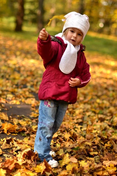 Pequeno bebê em um parque de outono — Fotografia de Stock