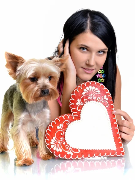 Молодая женщина и сладкий щенок с пряничным сердцем — стоковое фото