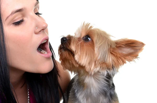 若い女性と遊んで甘い子犬 — ストック写真