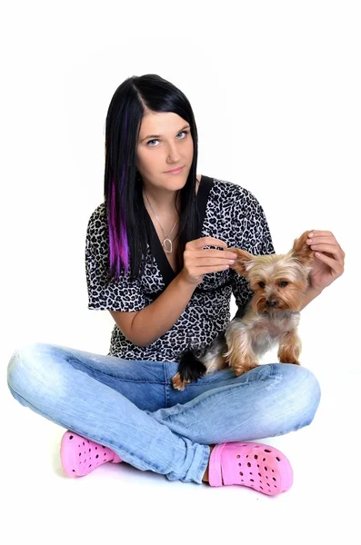 Young woman and sweet puppy playing around — Stock Photo, Image