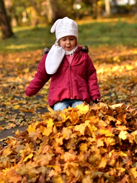 Bebé en un parque de otoño — Foto de Stock