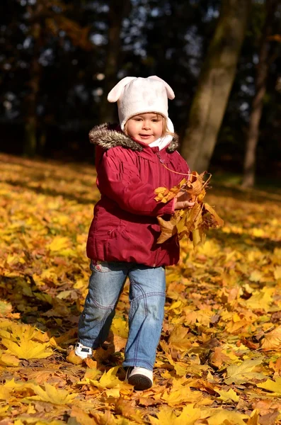 Bebé en un parque de otoño — Foto de Stock