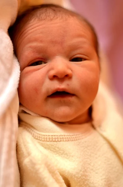 Newborn — Stock Photo, Image