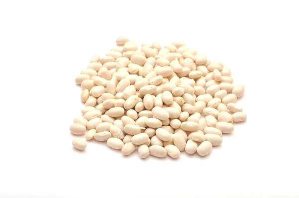 白豆 - としてまた知られているカネリーニ豆 — ストック写真