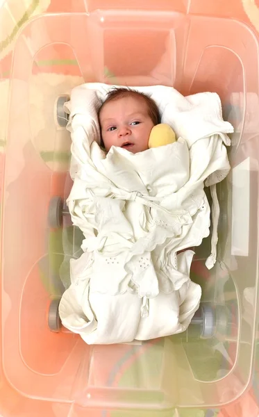 開いているプラスチックの箱で生まれたばかりの赤ちゃん — ストック写真