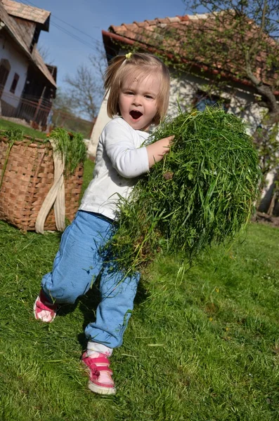 Baby met grasmaaier — Stockfoto