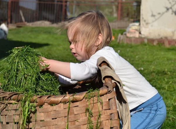 Дитина грає з травою — стокове фото