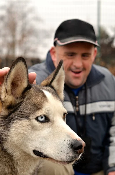 stock image Therapy dog