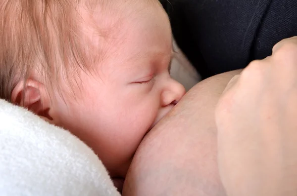 Moeder voeden haar pasgeboren baby met borst - binnenshuis — Stockfoto