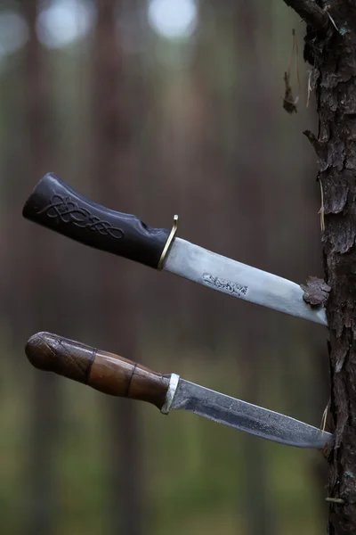 Two knifes — Stock Photo, Image