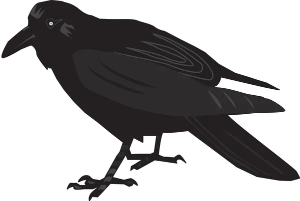 stock vector Raven1