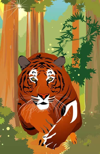 stock vector Tiger vector