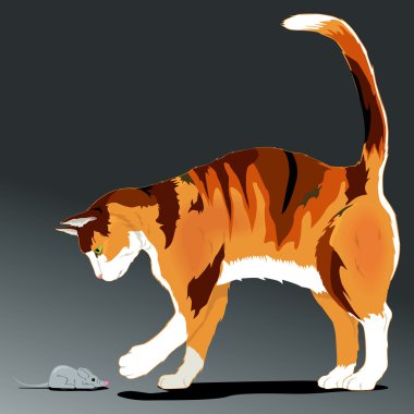 Cat vector clipart