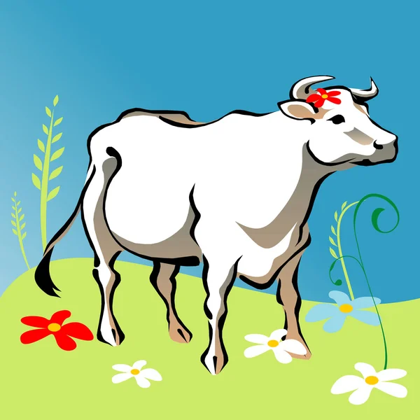 Koeienvector — Stockvector
