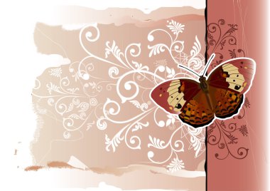 Butterfly vector clipart