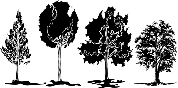 Träd vektor — Stock vektor
