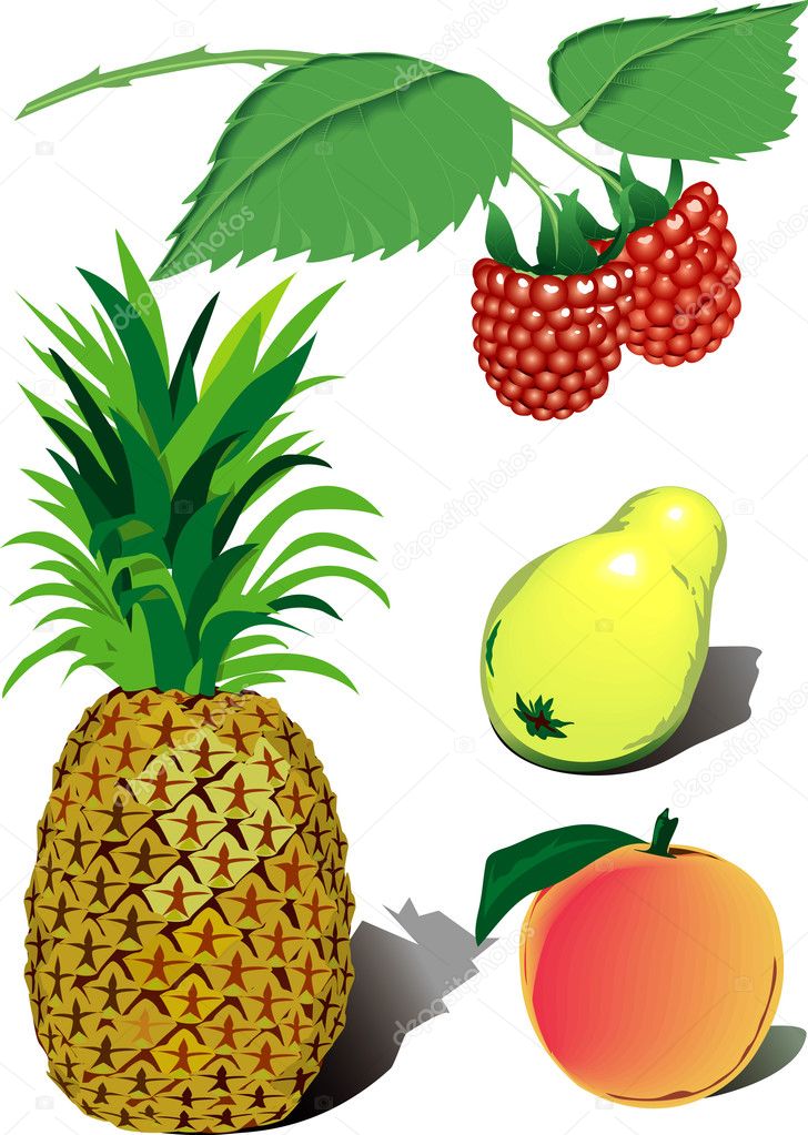 Set of vector fruits
