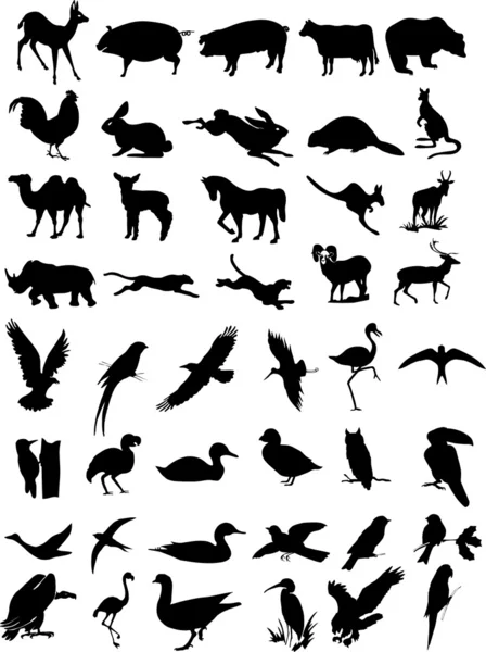Animal silhouettes vector — Stock Vector