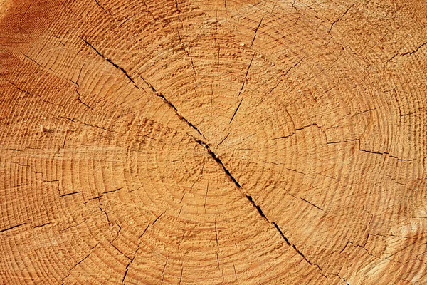 Texture du bois Photos De Stock Libres De Droits