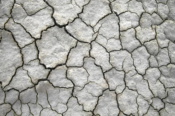 Dry cracked ground — Stock Photo, Image