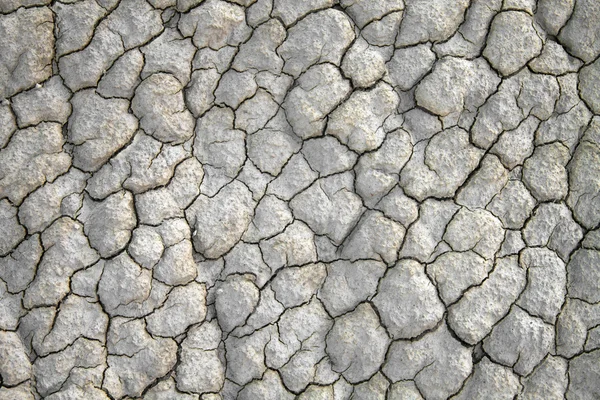 Terreno seco rachado — Fotografia de Stock
