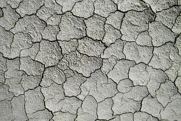 Suelo seco agrietado —  Fotos de Stock