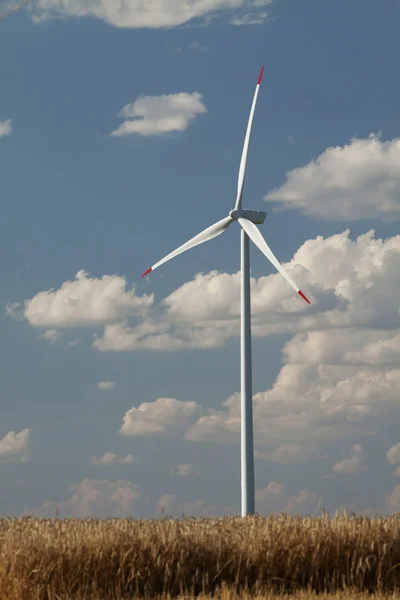 Générateur d'énergie éolienne dans un champ de blé, gros plan — Photo