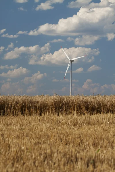 Větrné elektrárny generátor v pšeničné pole — Stock fotografie