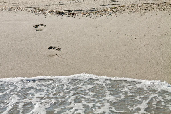 Footsteps out of the water — Stock Photo, Image