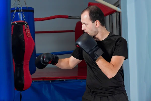 Boxeador preparándose para golpear —  Fotos de Stock