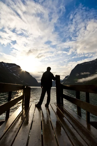 stock image Silhouette of man looking on lake