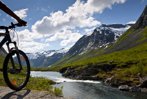 Mountain bike rider vista — Foto de Stock